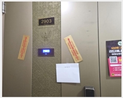  2024Ÿ97859  ν ﱸ 527 80, 105 292903ȣ (ߵ,ŵԵĳ1)   Ʈ