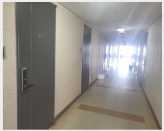  2024Ÿ101659  ȭ  60, 107 111121ȣ (,ȿظ÷̽)    ǽڰ