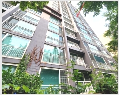  2024Ÿ5454  ν  193 35, 103 8801ȣ (,ݵ)   Ʈ