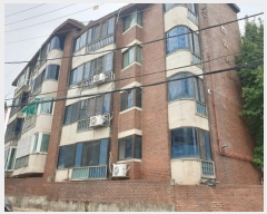  2024Ÿ��8095  �ټ���(����)���