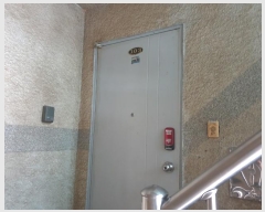  2024Ÿ��8095  �ټ���(����)���