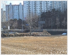  2024Ÿ��50874  ���ǽ��ڰ��