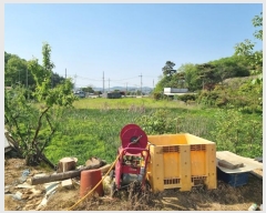  2024Ÿ66145  ȭ Ÿ ̸ 5      ()