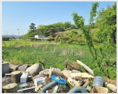  2024Ÿ66145  ȭ Ÿ ̸ 5      ()