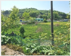  2024Ÿ66145  ȭ Ÿ ̸ 5      ()