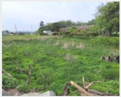  2024Ÿ66145  ȭ Ÿ ̸ 5      ()