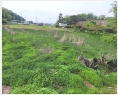  2024Ÿ66145  ȭ Ÿ ̸ 5      ()