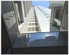  2024Ÿ72683  ȭ ۷ 177, 232305ȣ (ݼ۵,ǽ)     ǽڰ