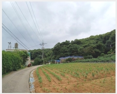  2024Ÿ��74474  ���ð��