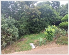  2024Ÿ��74474  ���ð��