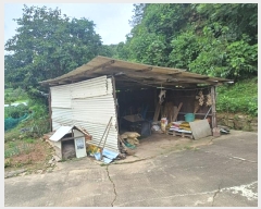  2024Ÿ��74474  ���ð��