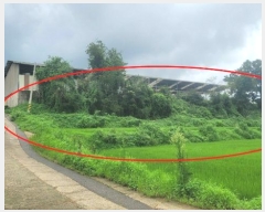  2024Ÿ77473  ȭ  ȭ 952-2      ()