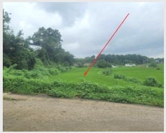  2024Ÿ77473  ȭ  ȭ 952-2      ()