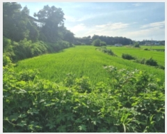  2024Ÿ77473  ȭ  ȭ 952-2      ()