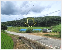  2024Ÿ��79066  ����