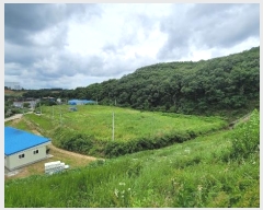  2024Ÿ��79066  ����