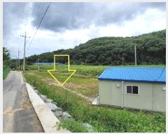  2024Ÿ��79066  ����