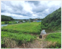  2024Ÿ��79066  ����