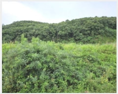  2024Ÿ��79066  ����