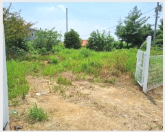  2024Ÿ��80745  �����