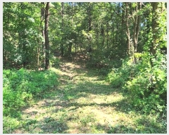  2024Ÿ��83942  �Ӿ߰��