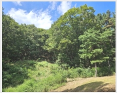  2024Ÿ��83942  �Ӿ߰��