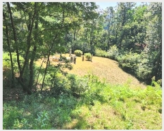  2024Ÿ��83942  �Ӿ߰��