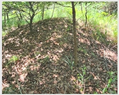  2024Ÿ��83942  �Ӿ߰��