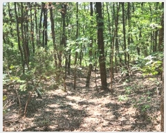  2024Ÿ��83942  �Ӿ߰��