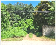  2024Ÿ��83942  �Ӿ߰��