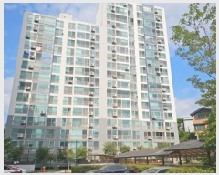  2024Ÿ��87876  ����Ʈ���