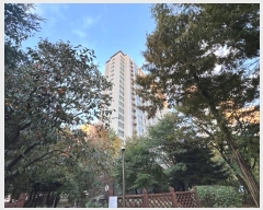  2024Ÿ��93673  ����Ʈ���