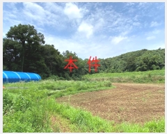  2024Ÿ��80431 ��� ȭ���� ���Ÿ� �۱��� ��70-4      ����(�Ӿ�)���