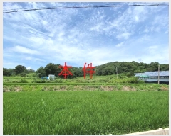  2024Ÿ��80431 ��� ȭ���� ���Ÿ� �۱��� ��70-4      ����(�Ӿ�)���