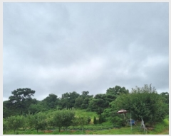  2024Ÿ��80431 ��� ȭ���� ���Ÿ� �۱��� ��70-4      ����(�Ӿ�)���