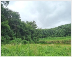  2024Ÿ��80431 ��� ȭ���� ���Ÿ� �۱��� ��70-4      ����(�Ӿ�)���