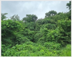  2024Ÿ��80431 ��� ȭ���� ���Ÿ� �۱��� ��70-4      ����(�Ӿ�)���