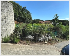  2024Ÿ��80646 ��� ���ν� ������ ���⵿ 230-18      ����(����)���