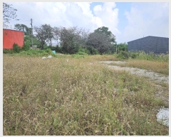  2024Ÿ��88909 ��� ȭ���� ��ź�� ��õ�� 320-3      ����(��1)���