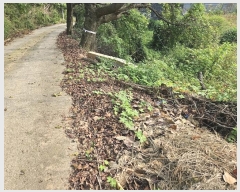  2024Ÿ��88909 ��� ȭ���� ��ź�� ��õ�� 320-3      ����(��1)���