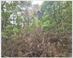  2024Ÿ��92601 ��� ���ν� ó�α� ����� �͸� ��57-4     ����(�Ӿ�)���