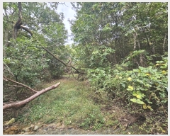  2024Ÿ��92601 ��� ���ν� ó�α� ����� �͸� ��57-4     ����(�Ӿ�)���