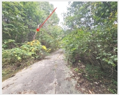  2024Ÿ��92601 ��� ���ν� ó�α� ����� �͸� ��57-4     ����(�Ӿ�)���