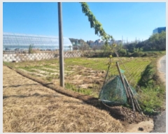  2024Ÿ��94430  ����