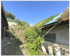  2024Ÿ��94447 ��� ȭ���� ������ �Ͼ縮 266-1      ����(����)���