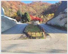  2024Ÿ��95143  ���ΰ��