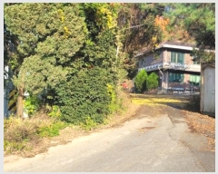  2024Ÿ��95143  ���ΰ��