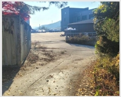  2024Ÿ��95143  ���ΰ��