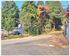  2024Ÿ��95143  ���ΰ��