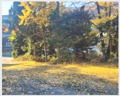  2024Ÿ��95143  ���ΰ��